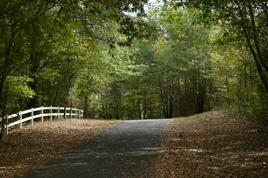 Country road lined with a white fence, representative image