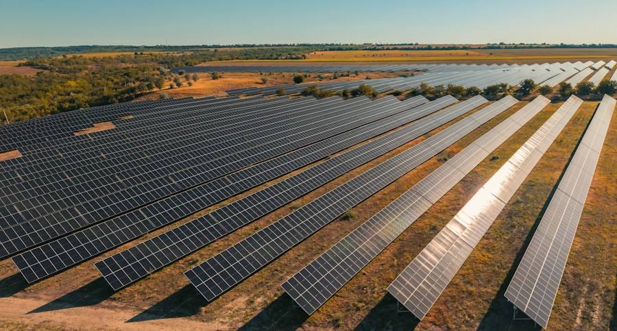 Expansive solar farm under a clear sky, representative image