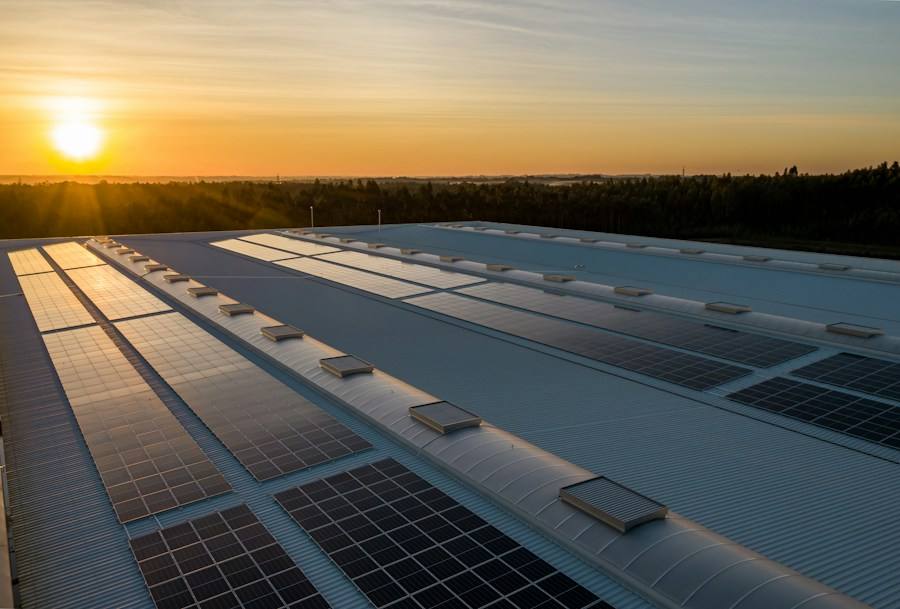 Solar modules photographed in black and white, representative image