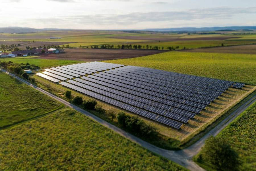 Solar panels on a green field, representative image